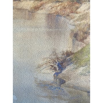 ANTICO GRANDE ACQUERELLO CARTONCINO FIRMATO A. di Brazzà PAESAGGIO LACUSTRE 1905