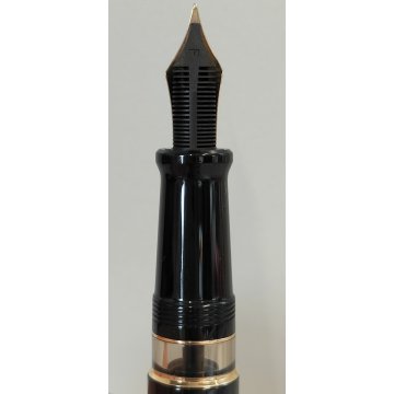 AURORA Ultima Lira PENNA STILOGRAFICA Edizione Limitata SILVER FOUNTAIN PEN box