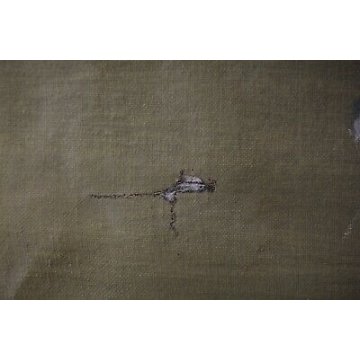 GRANDE ANTICO QUADRO DIPINTO OLIO Luigi Bosio NATURA MORTA VASO VETRO ORTENSIE