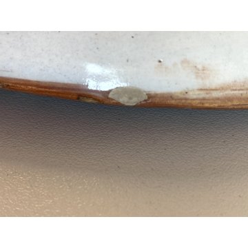 ANTICO PIATTO PARATA CERAMICA Lodigiana DECORO UCCELLI SMALTO POLICROMO