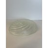 ANTICO VASSOIO CENTROTAVOLA VETRO MURANO ACIDATO STRASPARENTE CONCHIGLIA SPIRALE