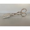 PINZA PASTICCERIA ART NOUVEAU ATTR. Zilfa MANICO ORNATO RAMAGE SILVERPLATED NL