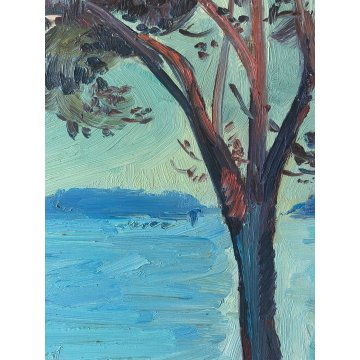 DIPINTO OLIO Carlo Monti VEDUTA  PAESAGGIO MARINO LACUSTRE PORTO LAGO MAGGIORE