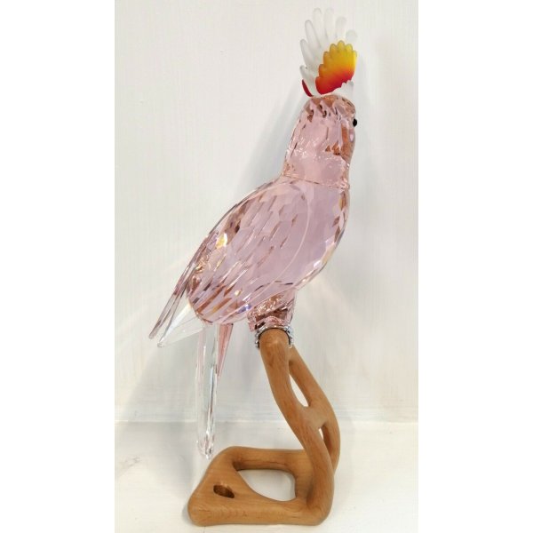 Orecchini A Goccia Grandi In Acrilico Pappagallo Cacatua - Gioielli Spiaggia Tropicali Per Donna Con Sacchetto In Velluto