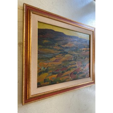 DIPINTO OLIO Carlo Monti VEDUTA PAESAGGIO RURALE COLLINA ARONA LAGO MAGGIORE