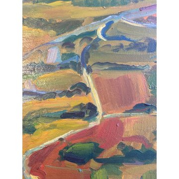 DIPINTO OLIO Carlo Monti VEDUTA PAESAGGIO RURALE COLLINA ARONA LAGO MAGGIORE