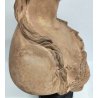 ANTICO BUSTO FEMMINILE TERRACOTTA Mariò Paris 1891 A.VDK. Giovane Baccante DONNA