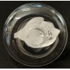 Lalique SCULTURA 2 Cigni in Amore CRISTALLO piatto x anello France FROSTED GLASS