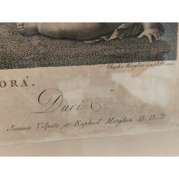 ANTICA STAMPA ACQUAFORTE Stefano Tofanelli LA DANZA DELLE ORE Nicolas Poussin