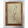 QUADRO DISEGNO MATITA su CARTA Gigi Comolli NUDO STUDIO FIGURA FEMMINILE '900