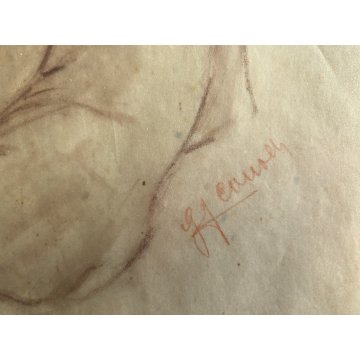 QUADRO DISEGNO SANGUIGNA CARTA Gigi Comolli NUDO DONNA STUDIO FIGURA FEMMINILE