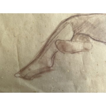 QUADRO DISEGNO SANGUIGNA CARTA Gigi Comolli NUDO DONNA STUDIO FIGURA FEMMINILE