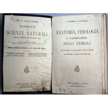 ANTICO LIBRO ANATOMIA FISIOLOGIA DEGLI ANIMALI Schmell Raffaele 1 CLASSE '900