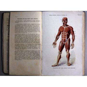 ANTICO LIBRO ANATOMIA FISIOLOGIA DEGLI ANIMALI Schmell Raffaele 1 CLASSE '900