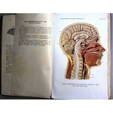 ANTICO LIBRO ANATOMIA FISIOLOGIA DEGLI ANIMALI Schmell Raffaele 1 CLASSE '900