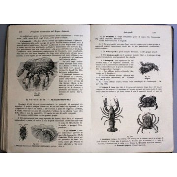 ANTICO LIBRO ANATOMIA FISIOLOGIA DEGLI ANIMALI Schmell Raffaele 1 CLASSE '900