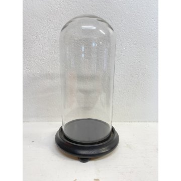 ANTICA TECA CAMPANA VETRO SOFFIATO BASE LEGNO ø 18,2 x 34 cm/h FINE '800