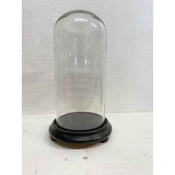 ANTICA TECA CAMPANA VETRO SOFFIATO BASE LEGNO ø 18,2 x 34 cm/h FINE '800