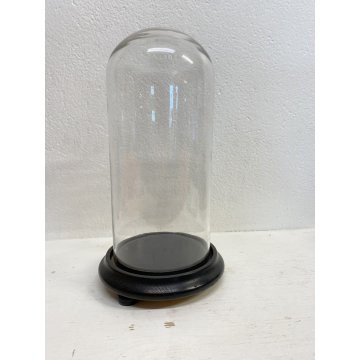 ANTICA TECA CAMPANA VETRO SOFFIATO BASE LEGNO ø 18,2 x 34 cm/h FINE '800