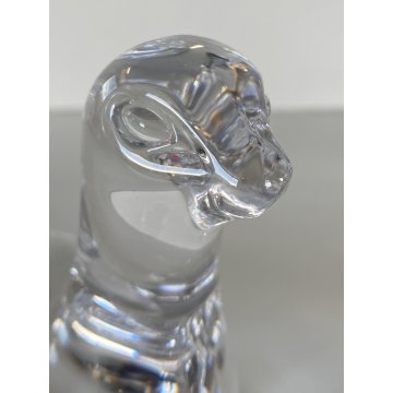 SCULTURA CRISTALLO FOCA Daum FRANCE FERMACARTE PRESSE PAPIER FIRMATO 12,5cm/h