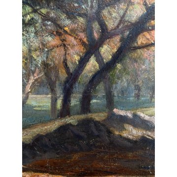 ANTICO QUADRO OLIO Carlo Pianca PAESAGGIO AUTUNNALE SOTTO BOSCO 23 x 15cm  '900