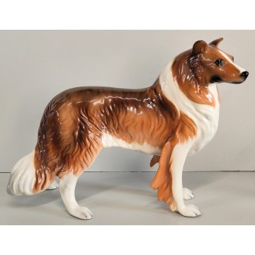 SCULTURA VOLUME Ceramica RONZAN Cane COLLIE Design Vintage STATUINA h. 22 cm DOG