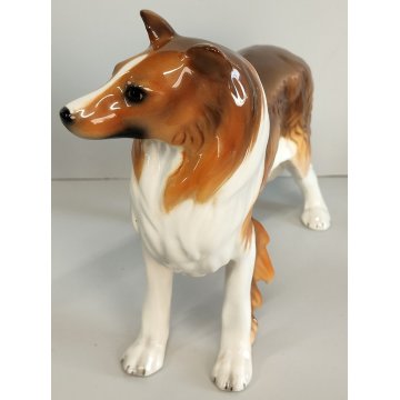 SCULTURA VOLUME Ceramica RONZAN Cane COLLIE Design Vintage STATUINA h. 22 cm DOG