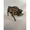 SCULTURA FIGURA CINGHIALE PORCELLANA Biscuit  ANIMALE SELVATICO 19x10,5 cm/h