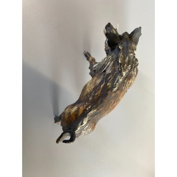 SCULTURA FIGURA CINGHIALE PORCELLANA Biscuit  ANIMALE SELVATICO 19x10,5 cm/h