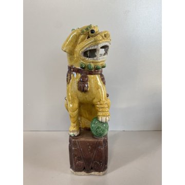 STATUINA CANE FOO  PORCELLANA SMALTO GIALLO LEONE GUARDIANO CINA XX sec. 25cm/h