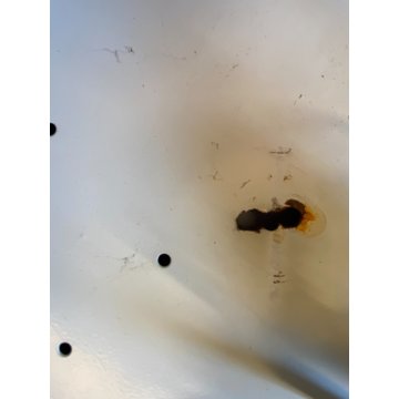 PLAFONIERA LAMPADA PARETE BOLLA DESIGN Martinelli LUCE WALL LAMP 37x37x16 cm ‘60