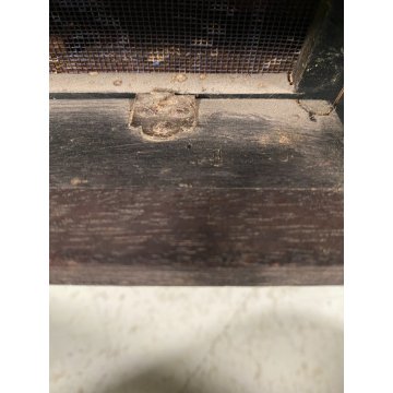 ANTICO ORGANETTO ORGANO a MANOVELLA Phonix C. Maffei e figli MILANO PRIMO '900