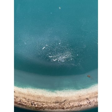 GRANDE VASO CERAMICA VERDE SCI CACHEPOT LAVENO DESIGN 1900 VINTAGE PORTA FIORI