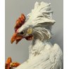 SCULTURA CERAMICA Carlo Mollica ANNI 40 Galli Combattenti STATUE Fighting Cocks