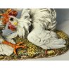 SCULTURA CERAMICA Carlo Mollica ANNI 40 Galli Combattenti STATUE Fighting Cocks