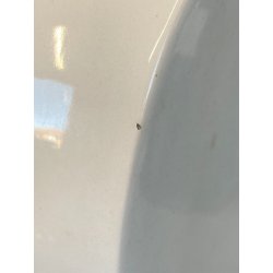 SCULTURA CERAMICA a COLAGGIO VOLTO MADONNA Mater Dulcis IGNI FORNACE TORINO '30