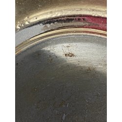 SECCHIELLO CHAMPAGNE Carlo Mozzoni RAFFRESCATORE ARGENTATO MID CENTURY ø 30 cm