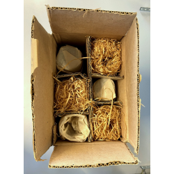 SET 6 BICCHIERI CRISTALLO MIDCENTURY MODERN Mod. Anatom ø5x23,5cm/h BOXED '70