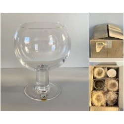 SET 6 CALICI CRISTALLO Arnolfo di Cambio DESIGN Sergio Asti "Perbere" 14,5 cm/h