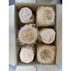 SET 6 CALICI CRISTALLO Arnolfo di Cambio Perbere DESIGN Sergio Asti 12 cm/h '60