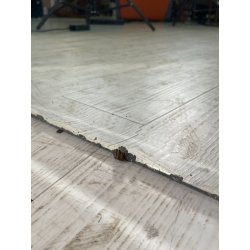 GRANDE SPECCHIERA SALA epoca 1800 SPECCHIO BAGNO MIRROR FORMA FUNGO STILE ORIENT