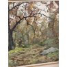 QUADRO DIPINTO OLIO Artino Giroldi PAESAGGIO BOSCO AUTUNNO Lago Maggiore CORNICE