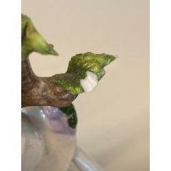 STATUINA FIGURA PORCELLANA CAPODIMONTE SCENA ROMANTICA DAMA GENTILUOMO FLAUTO