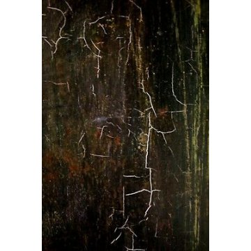 ANTICO QUADRO DIPINTO ASTRATTO Bruno Capacci SORELLE OLIO SABBIA TELA MATERICO 