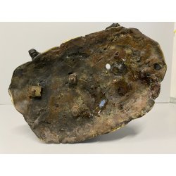 GRUPPO SCULTOREO BRONZO SCENA PASTORALE VERISTA PASTORELLO CAPRA ASINO 25 cm/h