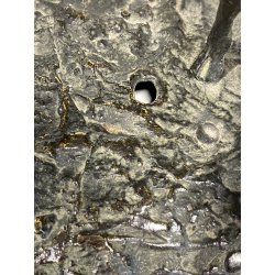 GRUPPO SCULTOREO BRONZO SCENA PASTORALE VERISTA PASTORELLO CAPRA ASINO 25 cm/h