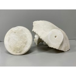 ANTICA SCULTURA BUSTO FEMMINILE A. Cipriani GIOVANE DONNA MARMO BIANCO '900