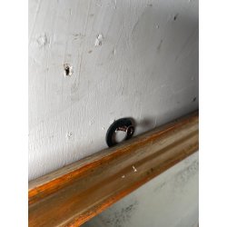 ANTICA SPECCHIERA DORATA CORNICE VASSOIO EPOCA 800 OLD SPECCHIO LEGNO FOGLIA ORO