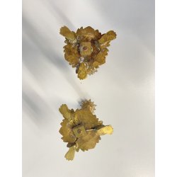 COPPIA PICCOLI CANDELIERI PORTA CANDELA BRONZO ZAMPE FERINE 15 cm/h EPOCA '800