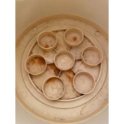 PORTAOMBRELLI DEDALO Artemide DESIGN Emma Gismondi UMBRELLLA STAND MILANO 1966